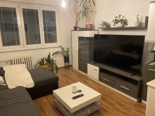 Fotka Společné bydlení